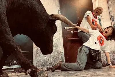 Pamplona y Tolosa: Tour privado de un día con almuerzo