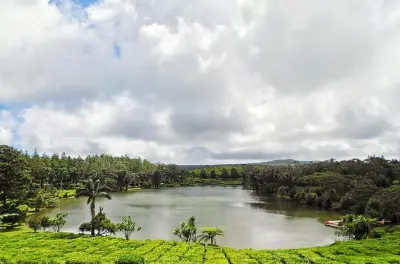 Bois Cheri tea factory e Gris Gris: Tour privato dell’artigianato