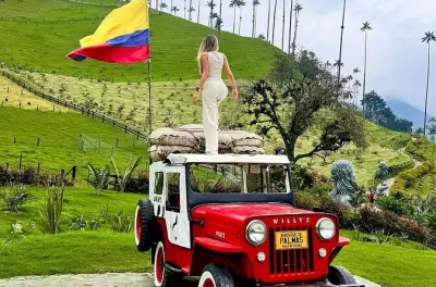 Cocora Valley & Coffee Tour from Pereira with Bilingual Guide
