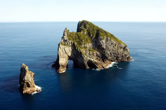 Bay of Islands Kreuzfahrt & Inselstopp Halbtages-Tour ab Paihia