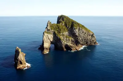 Bay of Islands Cruise & Island Stopover Half-Day Tour - Paihia