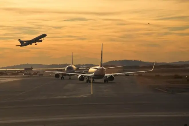 Padova to Venice Airport Private Transfer: Local Drivers