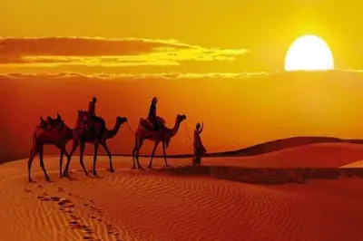 Safari au coucher du soleil avec dîner à Jaisalmer : Balade à dos de chameau dans le désert du Thar