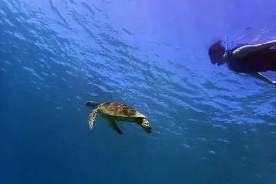 Snorkeling a Guam: Piccoli gruppi, barriere basse e profonde