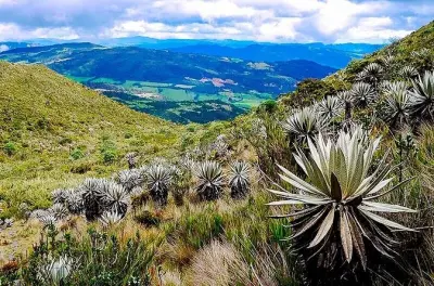 Parc national de Chingaza : Guide privé et randonnée dans le páramo