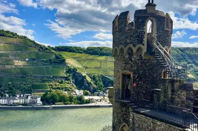 Weintour im Rheintal ab Frankfurt: Schloss, Dörfer, Verkostungen