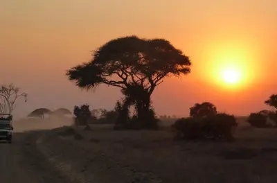Arusha Nationalpark Safari mit dem Jeep: Halbtägige Wildbeobachtung