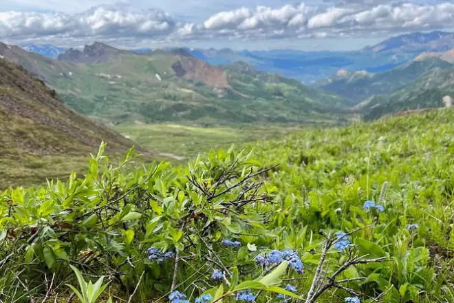 Denali Wanderung: 6–10 km alpine Tundra mit Guide