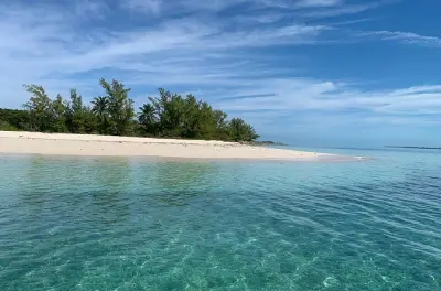 Snorkeling a New Providence: Tartarughe a Green Cay