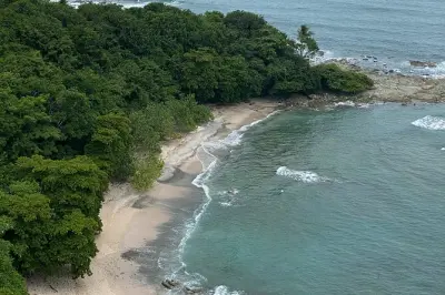 Reserva de vida silvestre Curu: Monos cara blanca y fauna