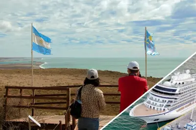 Peninsula Valdes: Avistamiento de elefantes marinos y lobos marinos