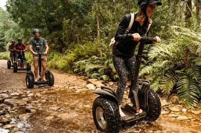 Stormsriver Village segway : L’arbre géant de Tsitsikamma