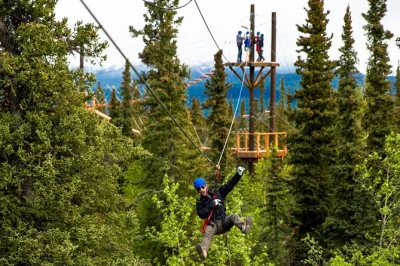 Feel the rush above denali’s forests on a 3-hour zipline tour, crossing sky bridges and racing side-by-side. includes local guide and round-trip hotel transport.