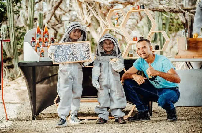 Apicultura prática em Aruba: Trabalhe com abelhas vivas