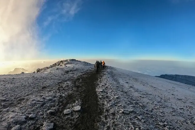 8-day Mt. Kilimanjaro climb on Lemosho Route from Moshi