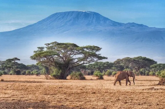 6 Tage Safari in Masai Mara, Nakuru & Amboseli mit Fensterplatz