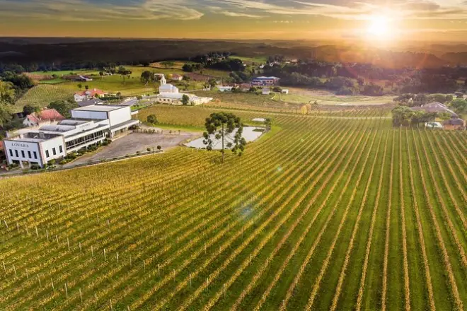 Weinverkostung Canela: Tal der Weinberge mit 4 Weingütern