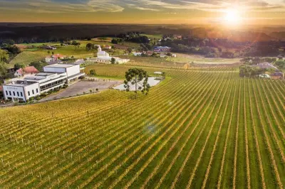 Weinverkostung Canela: Tal der Weinberge mit 4 Weingütern