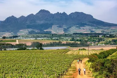 Stellenbosch Mountainbike-Tour halbtags: Zwei Weingüter