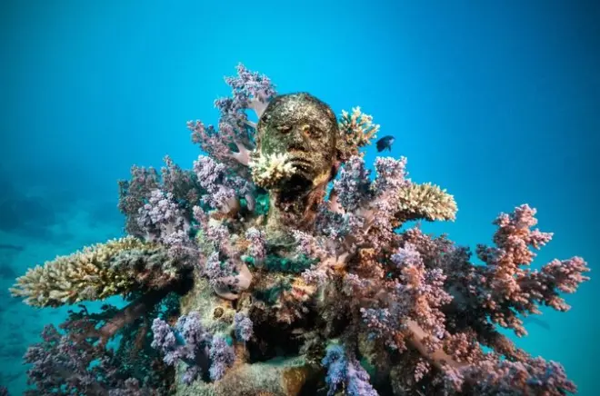 Snorkeling e immersioni alla Grande Barriera con museo subacqueo
