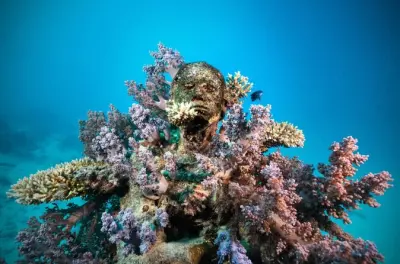 Great Barrier Reef snorkel dive Townsville Museum Underwater Art