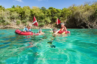 Feel the caribbean sea on a small-group martinique snorkeling trip. guided coral reef swim, marine biology insights, plus snacks & photos included.