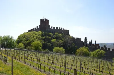 Vinho Soave e Amarone em Verona: Várias vinícolas pela manhã