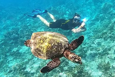 La Source Tahiti: Schnorcheln mit Sea Scooter, Schildkröten & Rochen
