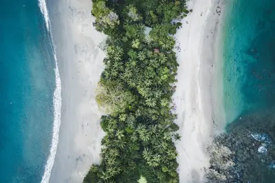 Manuel Antonio National Park tour: Rainforest and beach