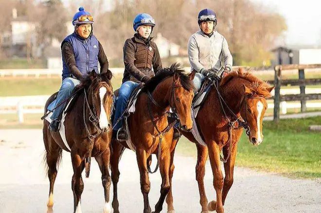 Thoroughbred Tour: Morgendliche Trainings & Trainer-Fragen