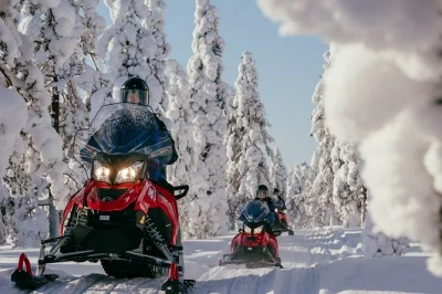 Vivi l’emozione di un safari in motoslitta tra le foreste artiche di rovaniemi, con abbigliamento termico e comodo pickup in hotel incluso.