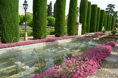 Descubra a história de córdoba com guia especializado e entrada sem fila na mesquita-catedral, alcázar e sinagoga. ingressos inclusos.