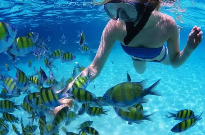 Snorkeling alle isole San Blas da Panama City: Quattro isole