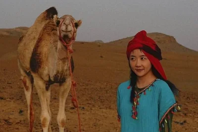 Step out of marrakech for a desert sunset, camel ride, and berber music by a bonfire. includes dinner, pickup, and a local guide. vegan options on request.