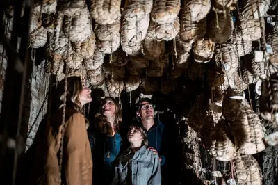 Culatello of Zibello Private Tour: Farm, Fortress & Tasting