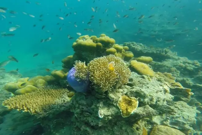 Snorkel en Koh Lanta: 4 islas y cueva esmeralda en lancha rápida