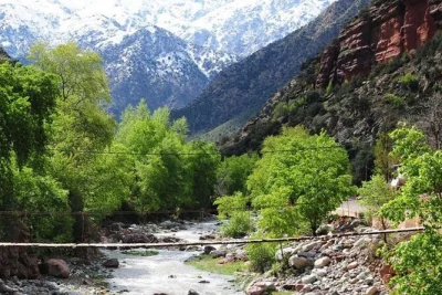 Find calm in morocco’s atlas mountains on a private day trip from marrakech. hike to waterfalls, share a berber meal, and explore villages with a local guide—includes pickup.