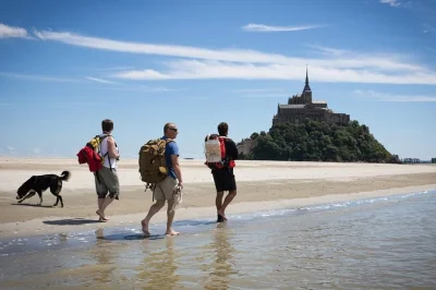 Feel the sand shift underfoot on a mont saint-michel bay walk, cross shallow rivers with a guide, spot native wildlife, and take in rare views—includes expert-led tour.
