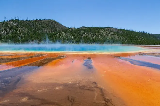 Yellowstone Full-Day Tour: Geysers, Falls & Wildlife