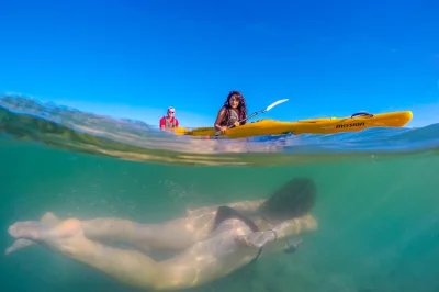 Abel tasman küste, split apple rock & meereshöhlen entdecken – entspannte familien-kajak-tour mit guide, inkl. ausrüstung und rückkehr bis mittag.