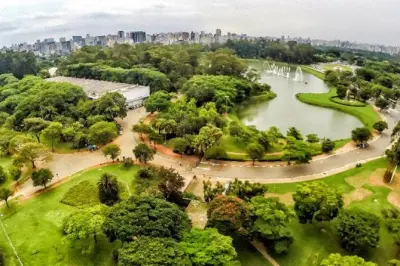 São Paulo tour from Santos: 8-hour private guide highlights