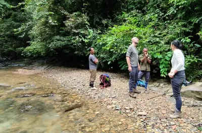 2-day Sumatra orangutan jungle trek from Medan to Bukit Lawang