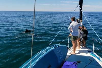 Scopri la brezza dell’algarve con un tour in yacht da vilamoura ad albufeira, ammira le scogliere di praia da falésia dal mare, fai un tuffo se vuoi e gusta un drink di benvenuto in piccolo gruppo.