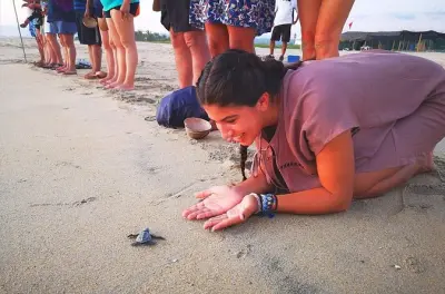 Puerto Escondido : Libérez des tortues Olive Ridley et aidez la nature