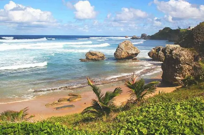Visite privée de Carlisle Bay : Trésors cachés à votre rythme