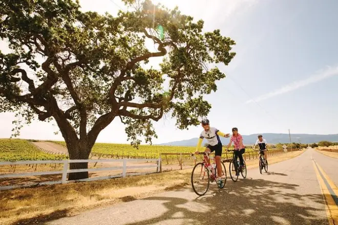 Santa Ynez en bici con almuerzo y degustación de vinos local