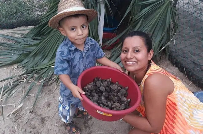 Babyschildkröten freilassen am Escobilla-Strand ab Huatulco
