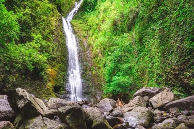 Attraversa la rigogliosa manoa valley fino alla cascata più alta di oahu, scopri i set di film famosi e goditi la vista su waikiki da tantalus lookout. include pick-up in piccolo gruppo.