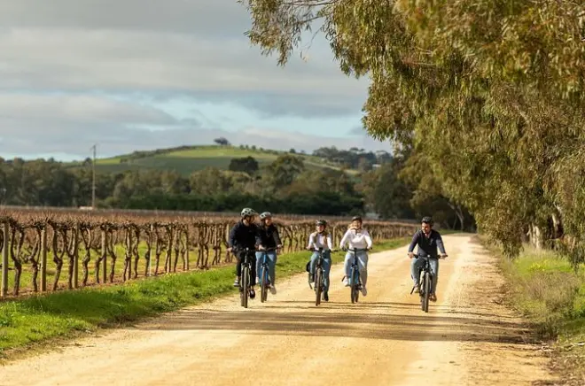 Barossa Valley e-bike tour: Wineries, chocolate & cheese