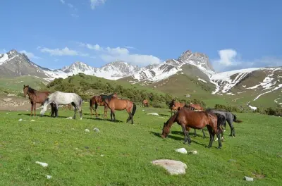 Randonnée de 2 jours dans les montagnes Kichi Alay depuis Osh